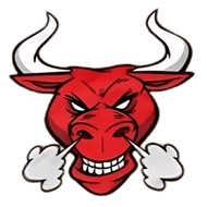 Toro
