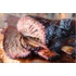 Kép 3/4 - Angus & Oink OMG beef injektáló