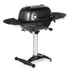 Kép 4/7 - PK Grills & Smoker PK360 The Graphite