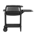 Kép 1/6 - PK Grills & Smoker Original PK 300 Grafitszürke