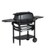 Kép 3/8 - PK Grills & Smoker PK 300 Franklin edition grafit