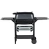 Kép 4/8 - PK Grills & Smoker PK 300 Franklin edition grafit