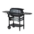 Kép 8/8 - PK Grills & Smoker PK 300 Franklin edition grafit